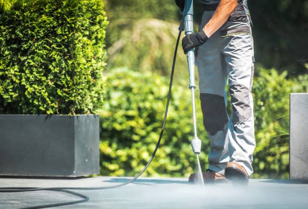 Best Brick and Stone Cleaning in Algoma, WI