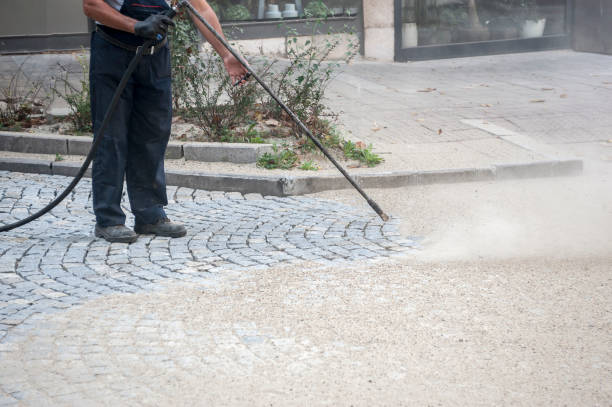Best Residential Pressure Washing in Algoma, WI